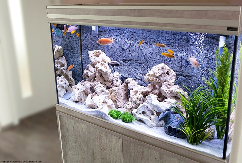 Aquarium Safe Learn How To Use Resin For Your - Diy Aquarium Rock Decorations
