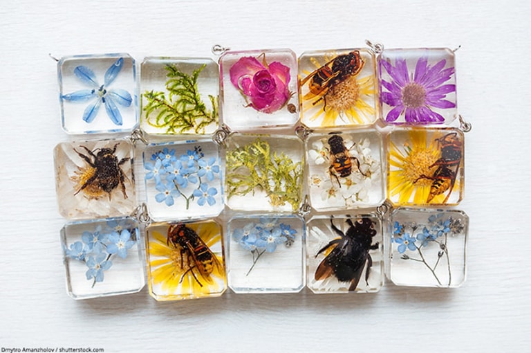 Preserving Flowers in Resin – Guide on how to Preserve Flowers in Resin