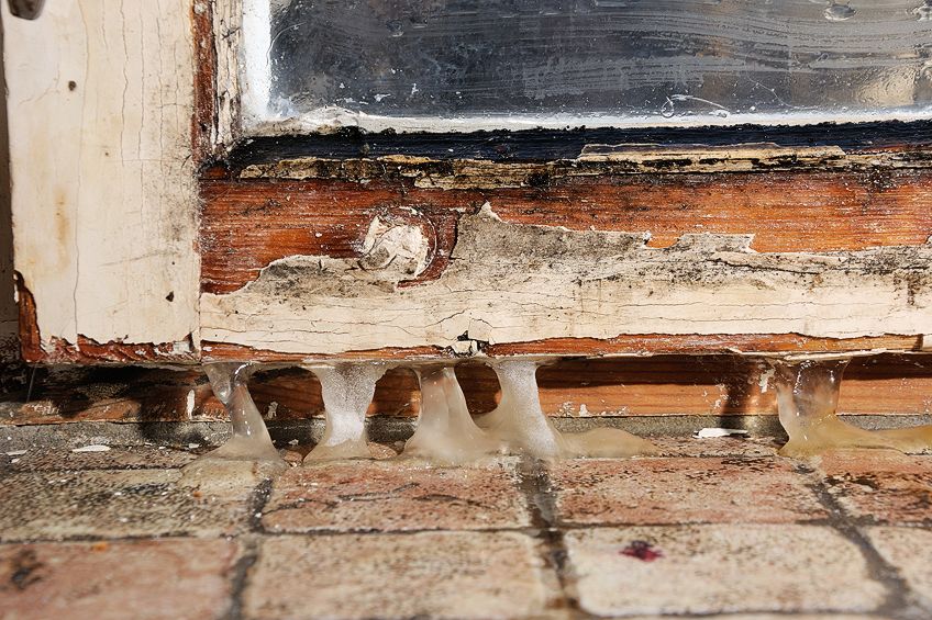 How to Kill Mold on Wood