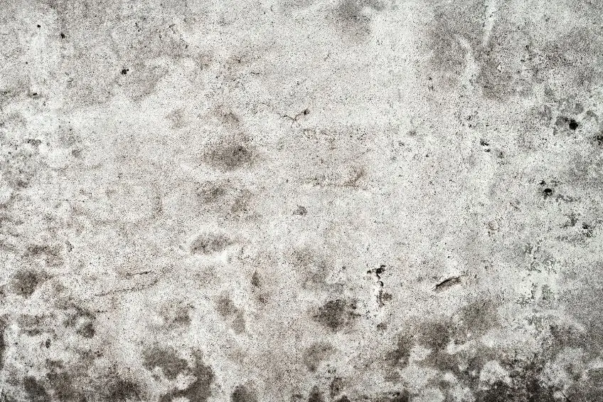 Concrete Floor Sander Results