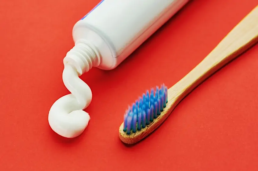First Nylon Toothbrush Bristles