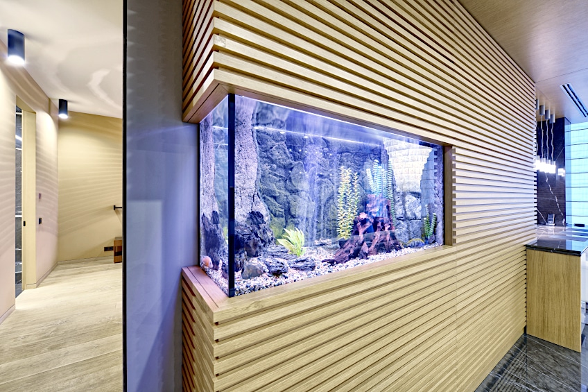 Built-in Aquarium