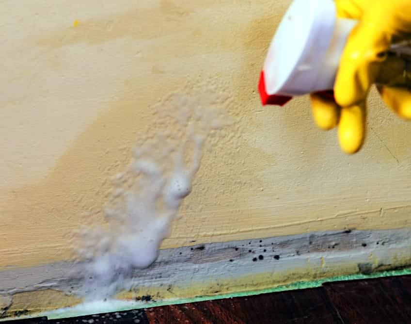 Cleaning Flat vs. Satin Paint