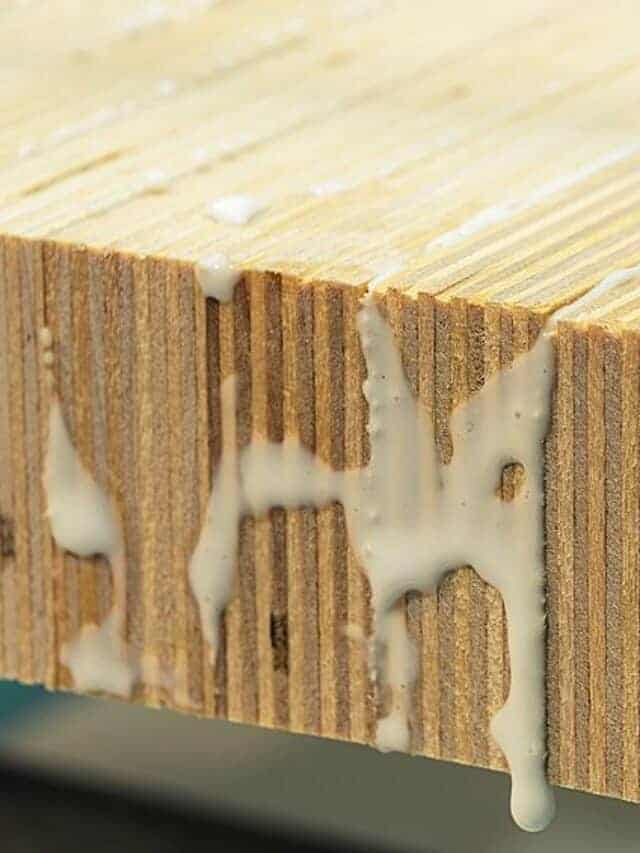 Removing Wood Glue – Easiest Methods