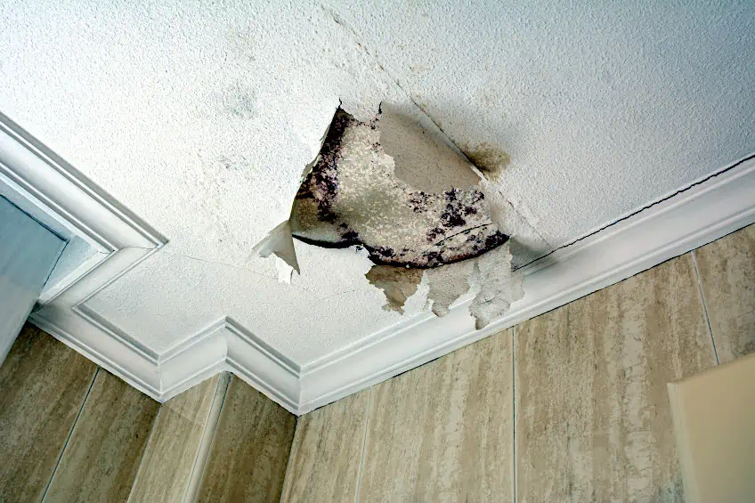 Ceiling Paint Adhesive Failure