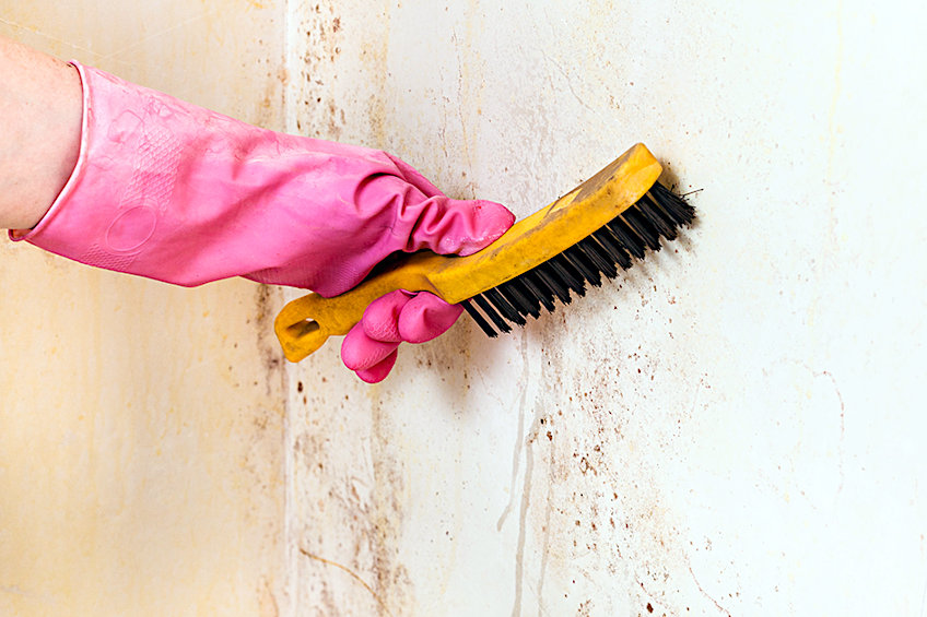 Clean Surfaces for Painting