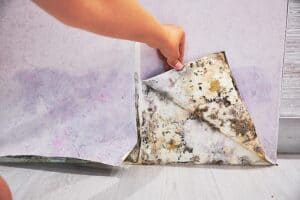 How to Remove Mold from Drywall – Stop the Spores